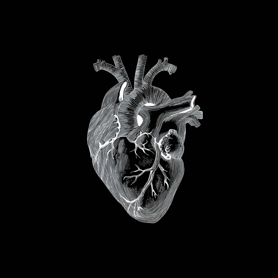 Imagine Sisyphus In Love cover: a white engraved anatomical heart on black